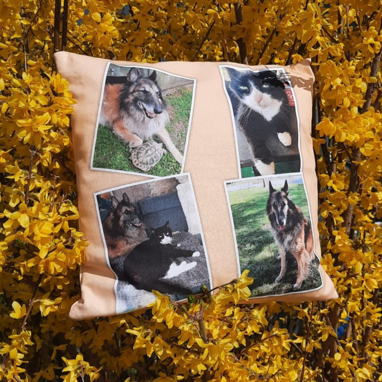 Einzigartiges Muttertagsgeschenk nähen